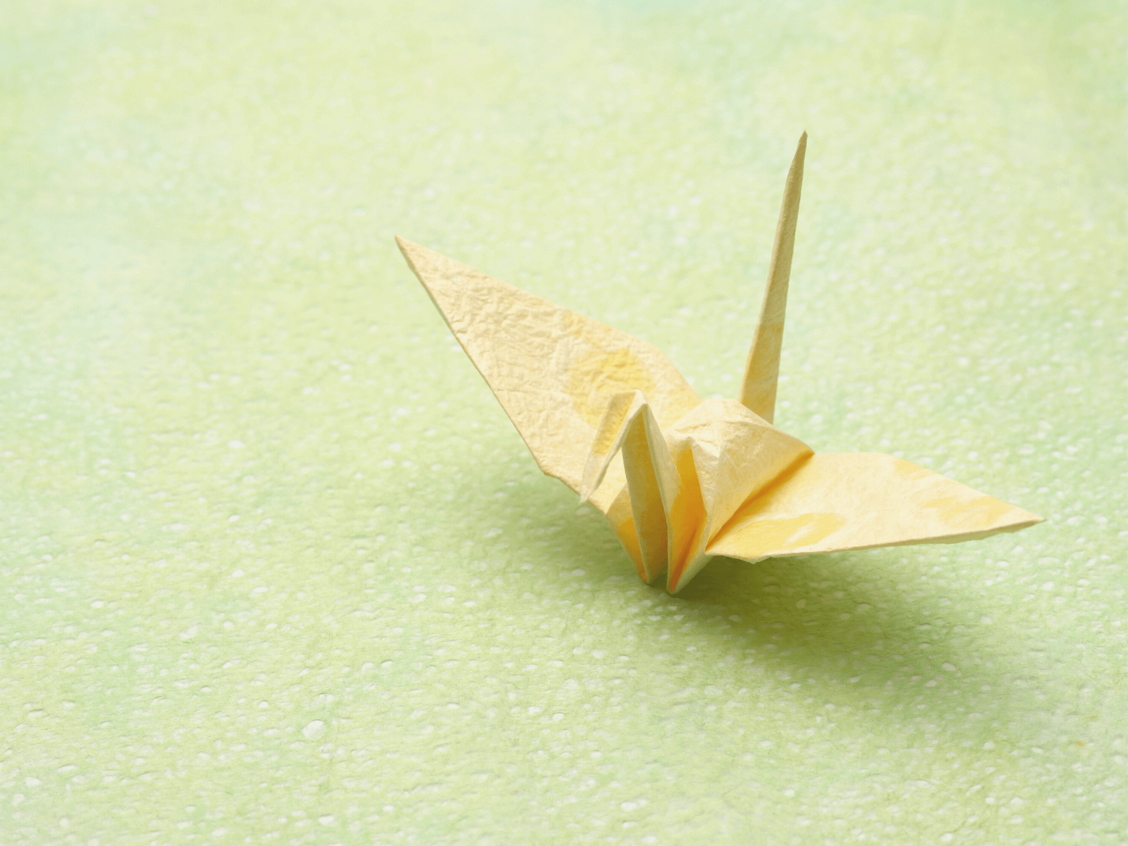 Japanese for Nikkei - Online Japanese Courses for People of